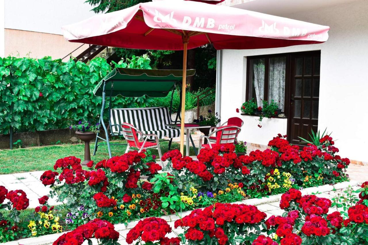 Apartmani "Vila Jelena" Arandelovac Exterior photo