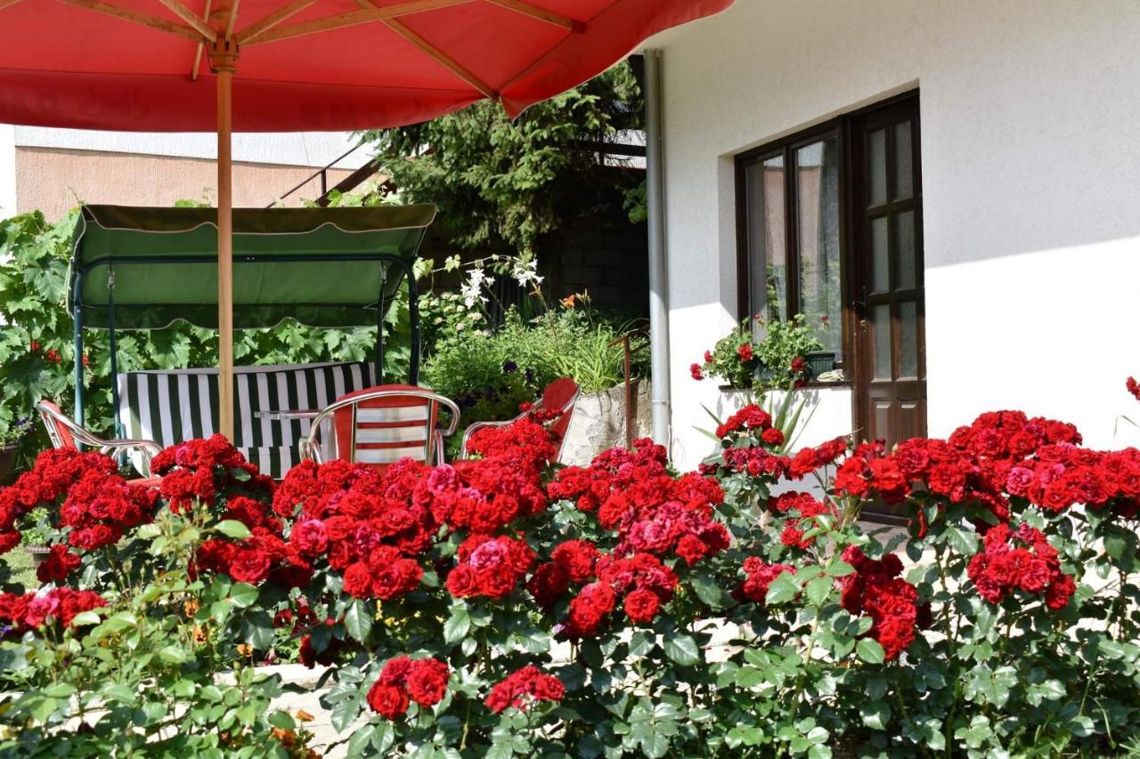 Apartmani "Vila Jelena" Arandelovac Exterior photo