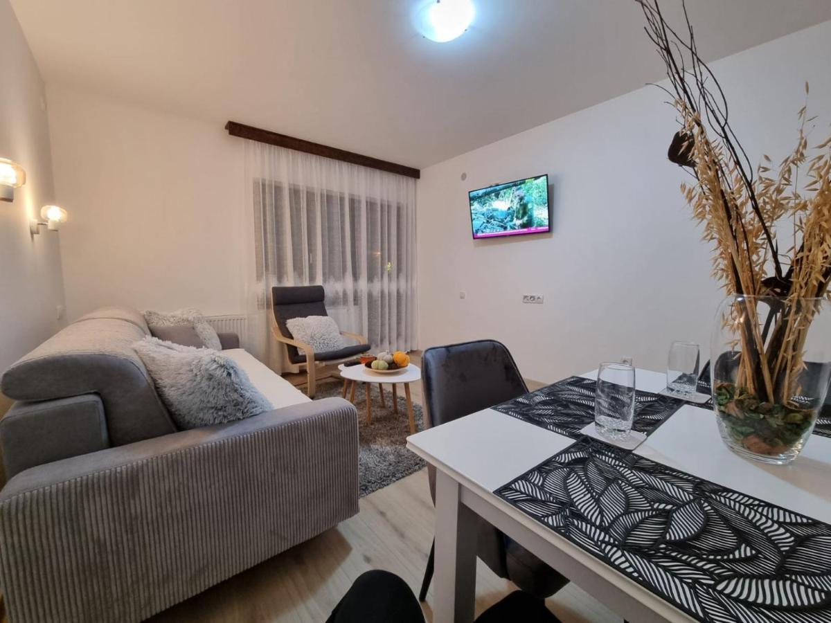 Apartmani "Vila Jelena" Arandelovac Exterior photo
