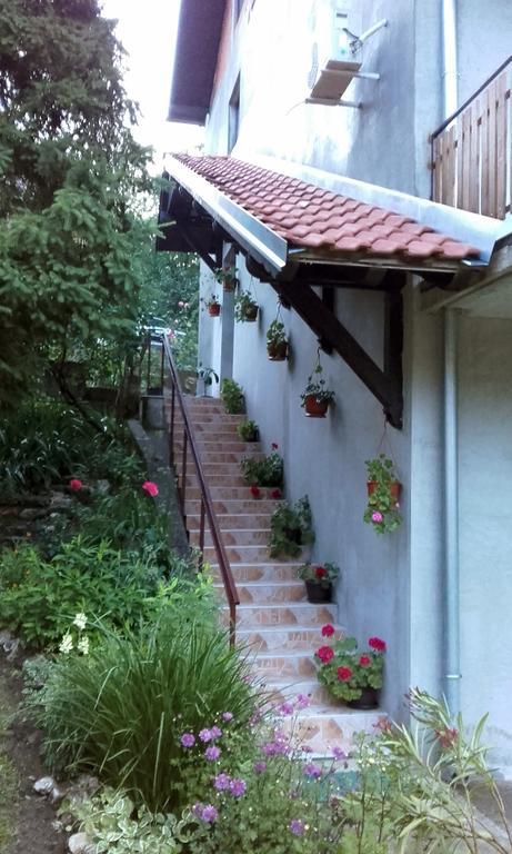 Apartmani "Vila Jelena" Arandelovac Exterior photo