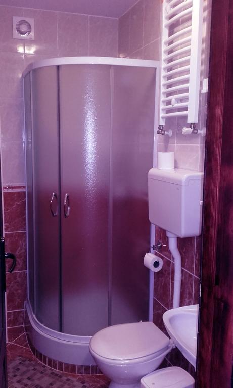 Apartmani "Vila Jelena" Arandelovac Exterior photo